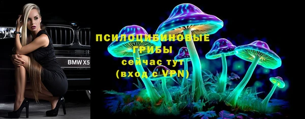 твердый Абаза