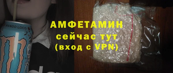 твердый Абаза