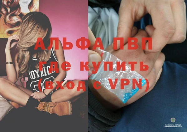 твердый Абаза