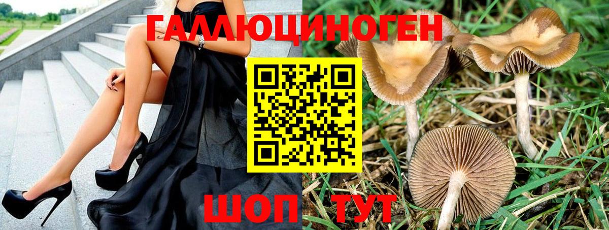 где можно купить наркотик  Вход с VPN  Фурманов  Псилоцибиновые грибы Psilocybine cubensis 